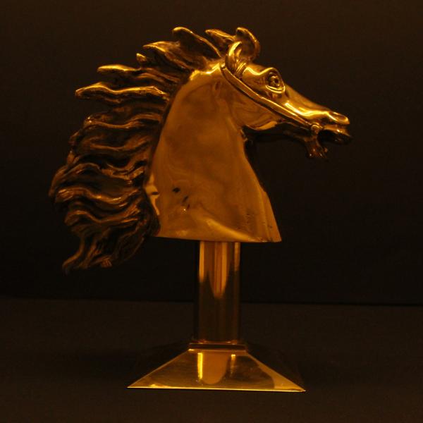 Testa da dressage