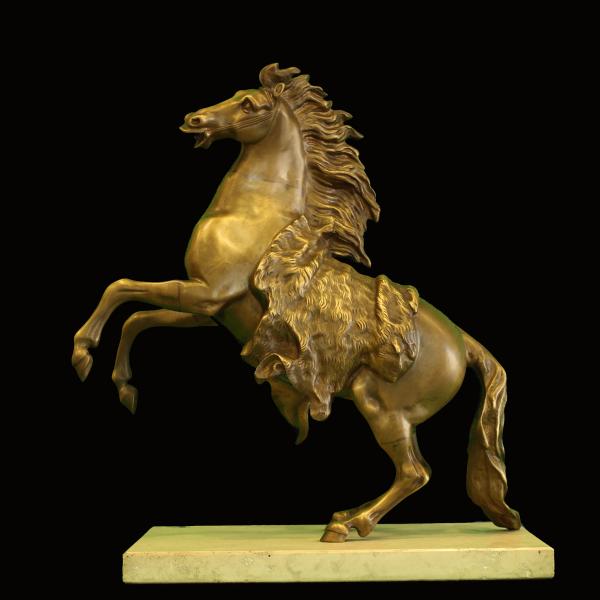 Cavallo imbizzarito